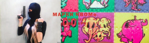 хмурый Аркадак