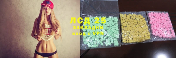 хмурый Аркадак