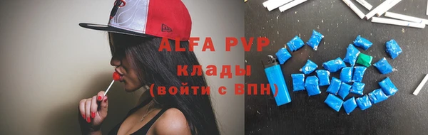 хмурый Аркадак