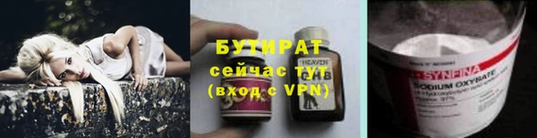 хмурый Аркадак