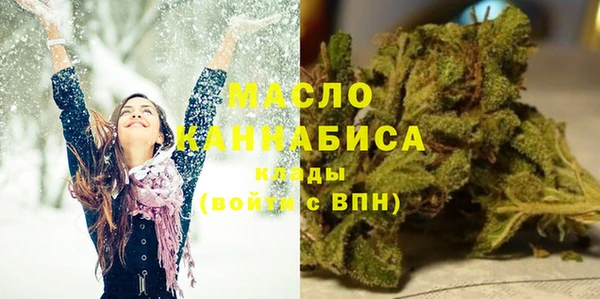 хмурый Аркадак