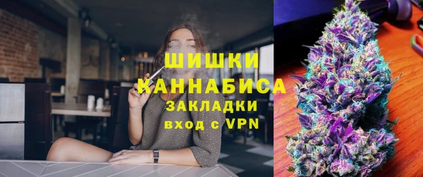 хмурый Аркадак