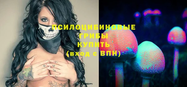 хмурый Аркадак