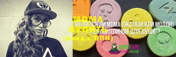 хмурый Аркадак