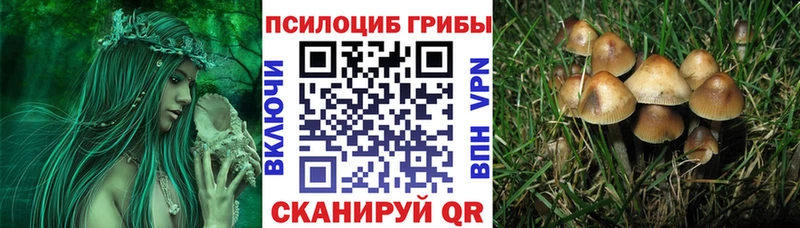 где купить наркоту  Крым  Галлюциногенные грибы GOLDEN TEACHER 